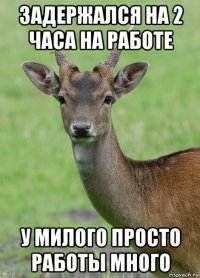 задержался на 2 часа на работе у милого просто работы много