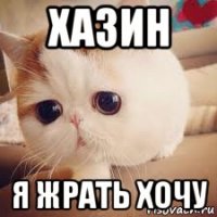 хазин я жрать хочу