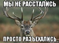 мы не расстались просто разъехались