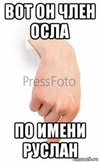 вот он член осла по имени руслан