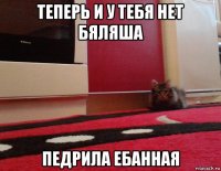 теперь и у тебя нет бяляша педрила ебанная