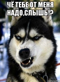 чё тебе от меня надо,слышь!? 