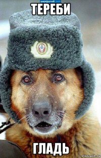 тереби гладь