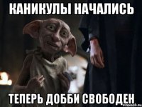 каникулы начались 