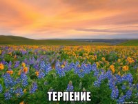 терпение