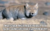  тибетская лиса подозревает, что ты не записался на сборную игру!