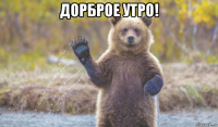 дорброе утро! 