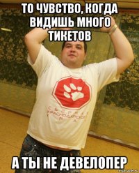 то чувство, когда видишь много тикетов а ты не девелопер