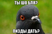 ты шо бля? пизды дать?