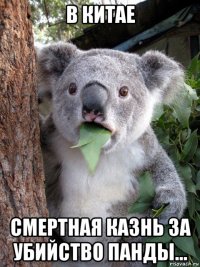 в китае смертная казнь за убийство панды...