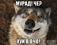 мурад! че? хуй в очо!