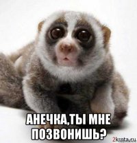  анечка,ты мне позвонишь?