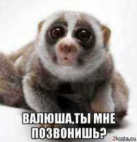  валюша,ты мне позвонишь?