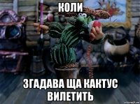 коли згадава ща кактус вилетить