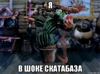 я в шоке скатабаза
