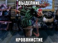 выделние кровянистие