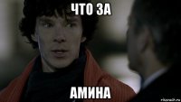 что за амина