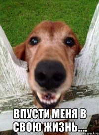  впусти меня в свою жизнь....