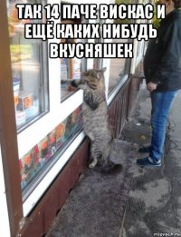 так 14 паче вискас и ещё каких нибудь вкусняшек 