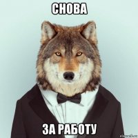 снова за работу