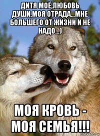 дитя моё,любовь души,моя отрада...мне большего от жизни и не надо...) моя кровь - моя семья!!!