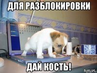 для разблокировки дай кость!