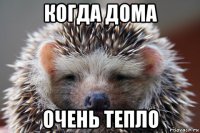 когда дома очень тепло