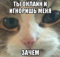 ты онлайн и игноришь меня зачем