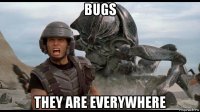 bugs they are everywhere