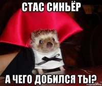 стас синьёр а чего добился ты?