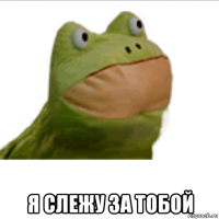  я слежу за тобой