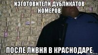 изготовители дубликатов номеров после ливня в краснодаре