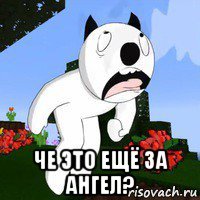  че это ещё за ангел?