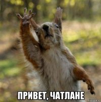  привет, чатлане