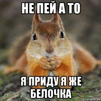 не пей а то я приду я же белочка