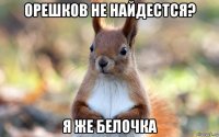 орешков не найдестся? я же белочка