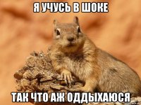 я учусь в шоке так что аж оддыхаюся