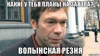 какие у тебя планы на завтра? волынская резня