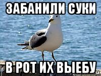 забанили суки в рот их выебу