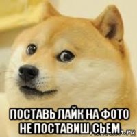  поставь лайк на фото не поставиш сьем