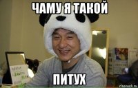 чаму я такой питух