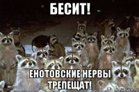 бесит! енотовские нервы трепещат!