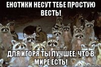 енотики несут тебе простую весть! для игоря ты лучшее, что в мире есть!