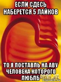 если сдесь наберется 5 лайков то я поставль на аву человека которого люблб