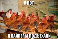 а вот и вайперы подъехали