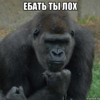ебать ты лох 