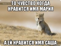 то чувство когда нравится имя мария а ей нравится имя саша