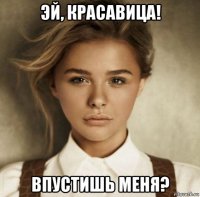 эй, красавица! впустишь меня?