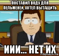 поставил воду для пельменей, хотел вытащить иии... нет их
