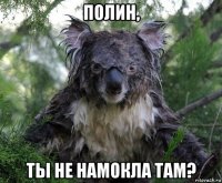 полин, ты не намокла там?